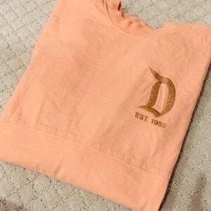 ✨ Disneyland Resort Spirit Jersey ✨